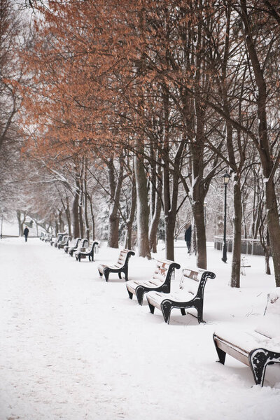 Benches in the winter city park. Filled up with snow. Snow covered trees.