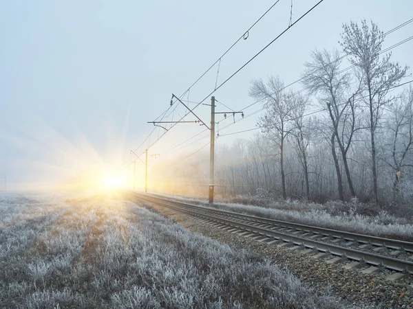 Las Vías Del Tren Invierno Con Heladas Cubriendo Todas Partes —  Fotos de Stock