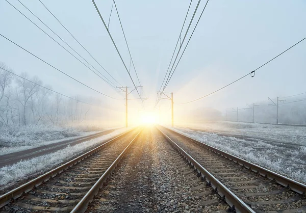 Empty Electric Mainline Railroad Winter Forest — Stock Photo, Image