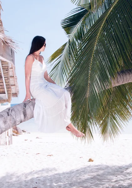 Woman sitting on palm tree on the beach — Stock Photo, Image