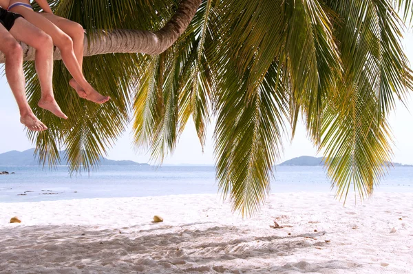 Beine eines Paares auf einer Palme auf einer paradiesischen Insel — Stockfoto