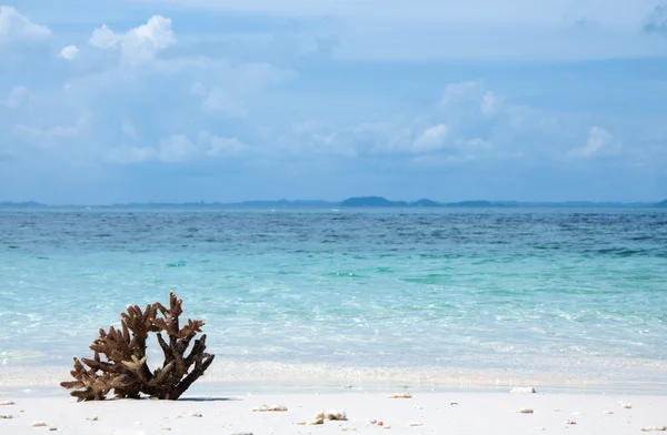 Rafy na piasku z morza — Zdjęcie stockowe
