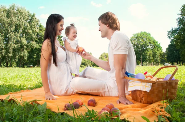 Felice famiglia picnic nel parco — Foto Stock