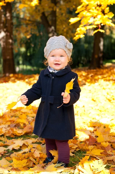 Yndig lille pige med efterårsblade i skønhedsparken - Stock-foto