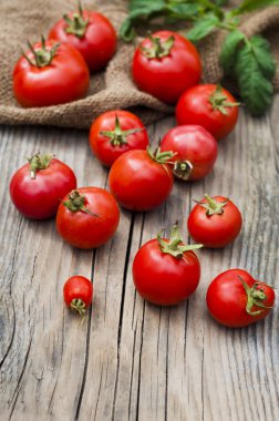 taze organik domates