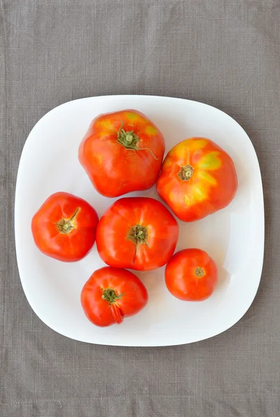 Organic tomatoes — Stock Photo, Image