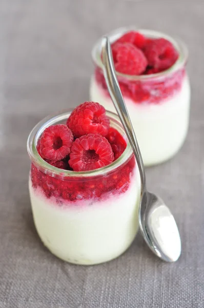 Yoğurtlu taze ahududu