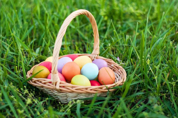 Easter basket — Stock Photo, Image