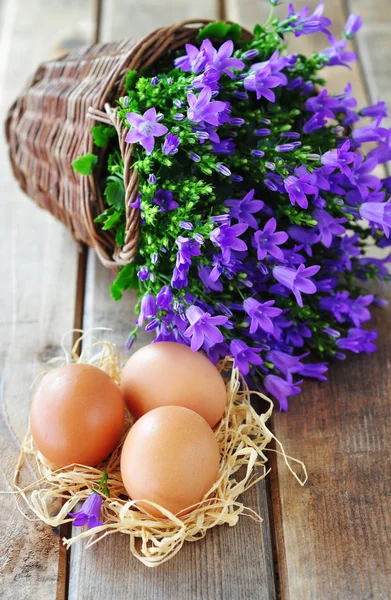 Eggs and Flowers — Stock Photo, Image