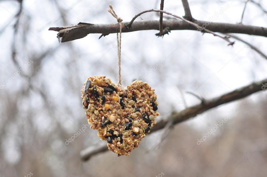 Heart-shaped bird feeder
