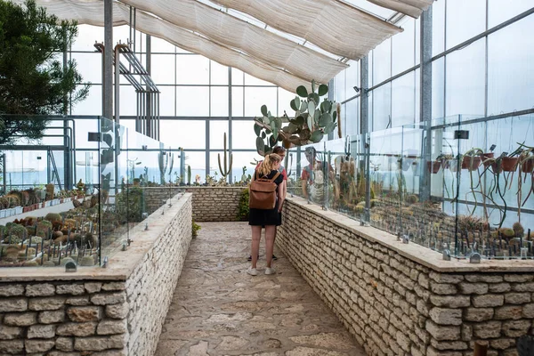 植物園のガラスの家の観光客のカップル ストック写真