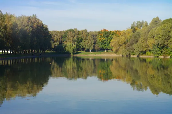 Zomer in stadspark — Stockfoto