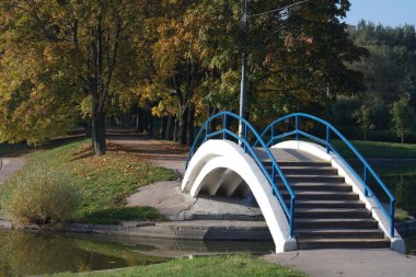 Sonbaharda altın park