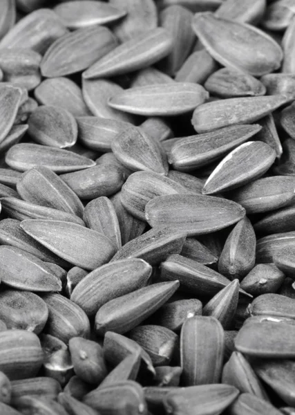 Mamy of sunflower seeds — Stock Photo, Image