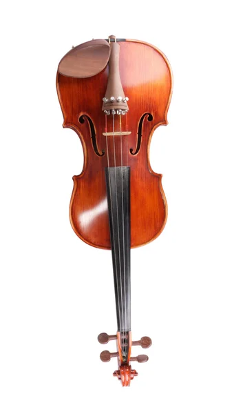 Violino rosso isolato — Foto Stock