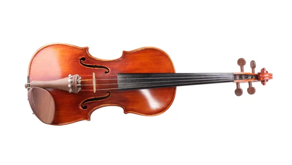 고립 된 빨간 바이올린 — 스톡 사진