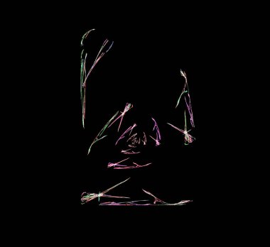 Dijital fraktal resimlerinden birinin resmi