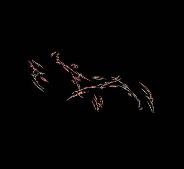 Dijital fraktal resimlerinden birinin resmi