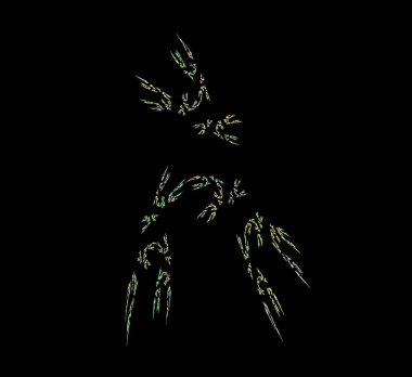 Dijital fraktal resimlerinden birinin resmi