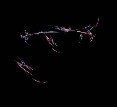 Dijital fraktal resimlerinden birinin resmi