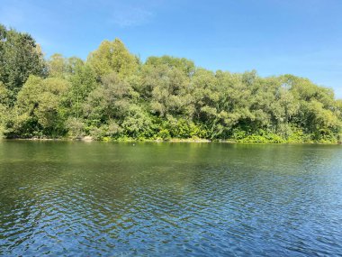 Şehir parkında yaz güneşli bir günde