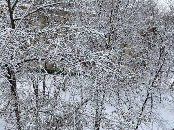 Vinter Stadens Gård Molnig Dag — Stockfoto