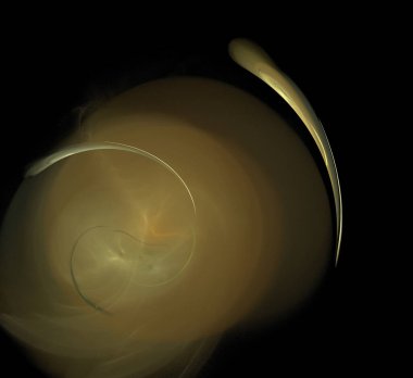 Dijital fraktal resimlerinden birinin resmi