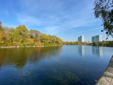 Sonbaharda, güneşli sonbahar gününde park et.