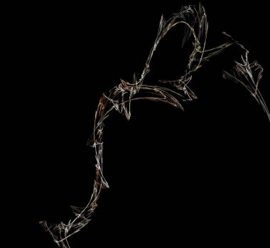 Dijital fraktal resimlerinden birinin resmi