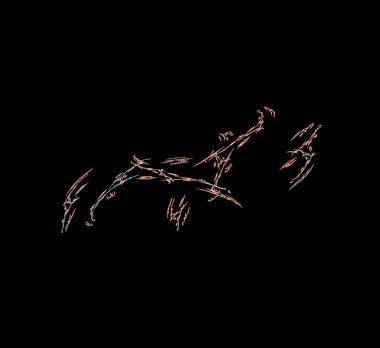 Dijital fraktal resimlerinden birinin resmi