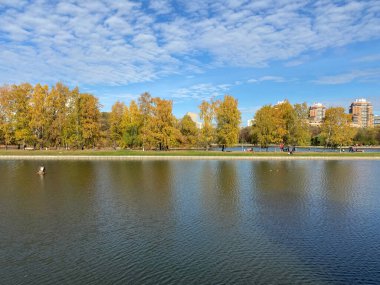 Sonbaharda, güneşli sonbahar gününde park et.