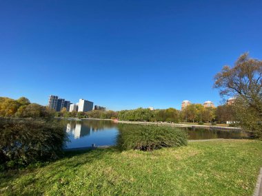 Sonbaharda, güneşli sonbahar gününde park et.