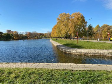 Sonbaharda, güneşli sonbahar gününde park et.