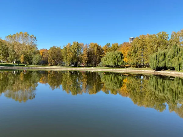 Parc Automne Sec Ensoleillé Jour Automne — Photo