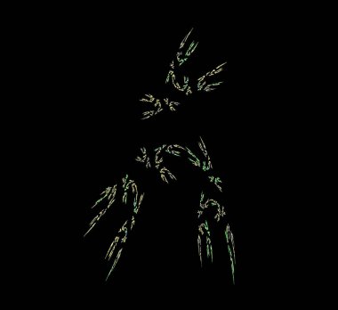 Dijital fraktal resimlerinden birinin resmi