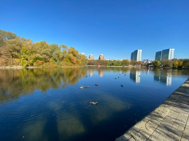 Sonbaharda, güneşli sonbahar gününde park et.