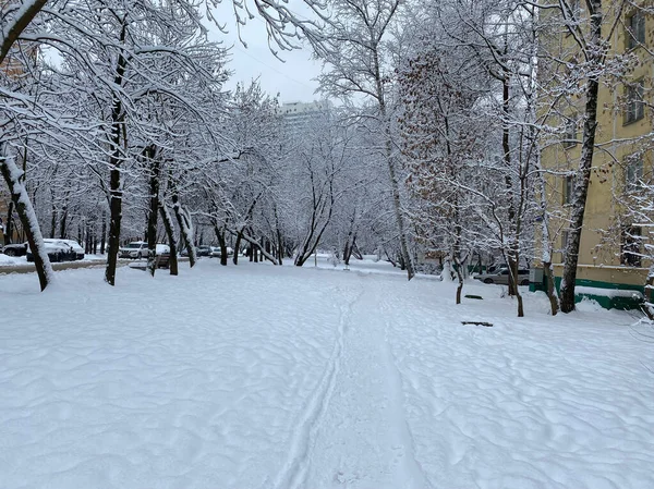 Inverno Nel Cortile Della Città Giorno Nuvoloso Dopo Nevicata — Foto Stock