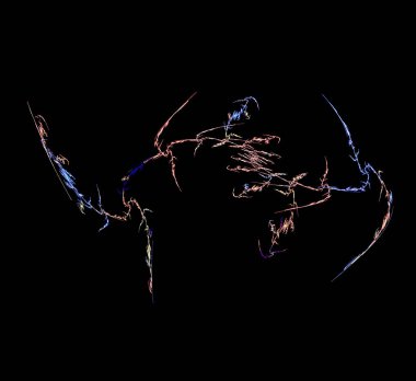 Dijital fraktal resimlerinden birinin resmi