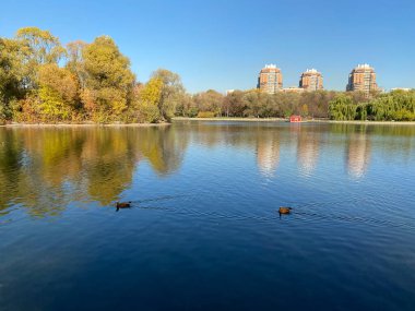 Sonbaharda, güneşli sonbahar gününde park et.