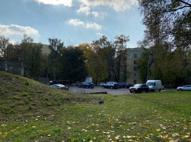 Kuru, güneşli bir sonbahar gününde Çimlerde bir sürü sarı yaprak