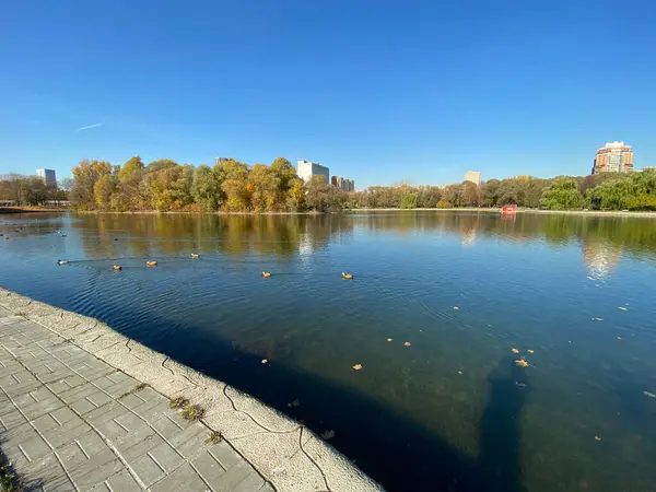 Parc Automne Sec Ensoleillé Jour Automne — Photo