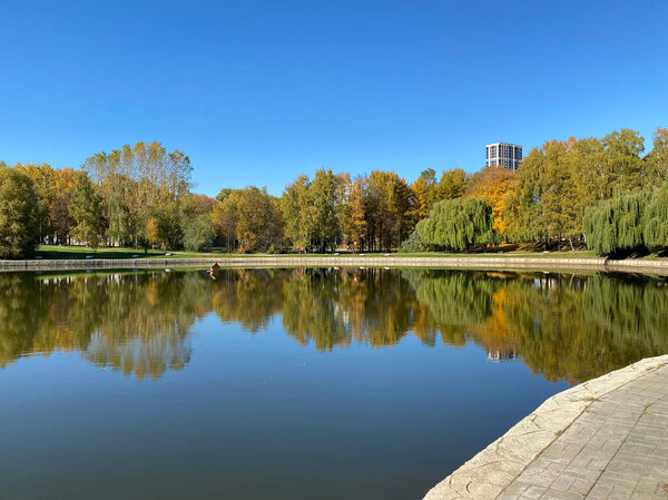 Парк осенью в сухой солнечный осенний день