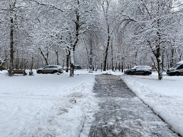Зима Городском Дворе Облачный День После Снегопада — стоковое фото