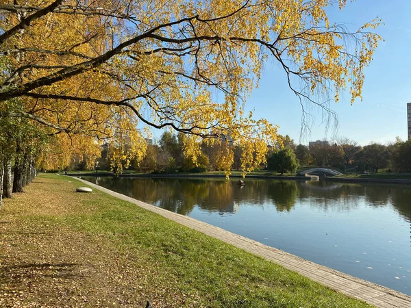 Parc Automne Sec Ensoleillé Jour Automne — Photo