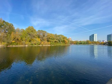 Sonbaharda, güneşli sonbahar gününde park et.