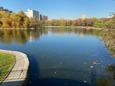 Sonbaharda, güneşli sonbahar gününde park et.