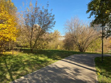 Sonbahar, kurak güneşli sonbahar gününde parkta.