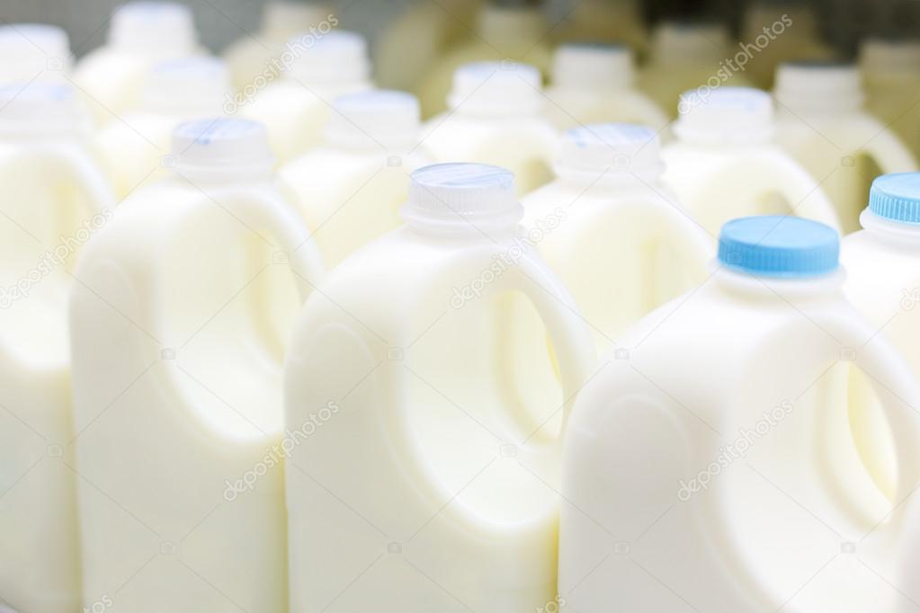 milk bottles at the store