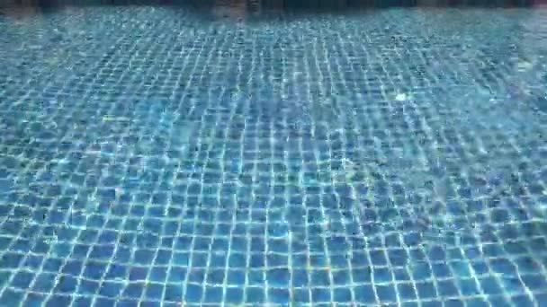 Människan simmar i poolen — Stockvideo