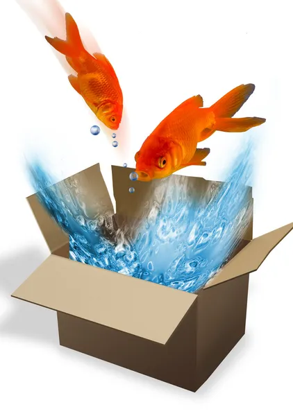 Goldfish. — Stock Photo, Image
